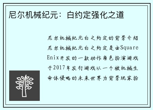 尼尔机械纪元:白约定强化之道